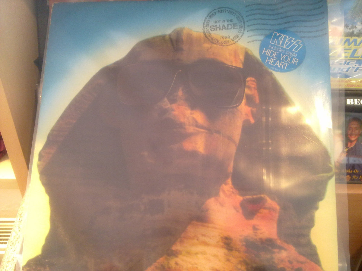 Hot in the Shade [Vinyl]