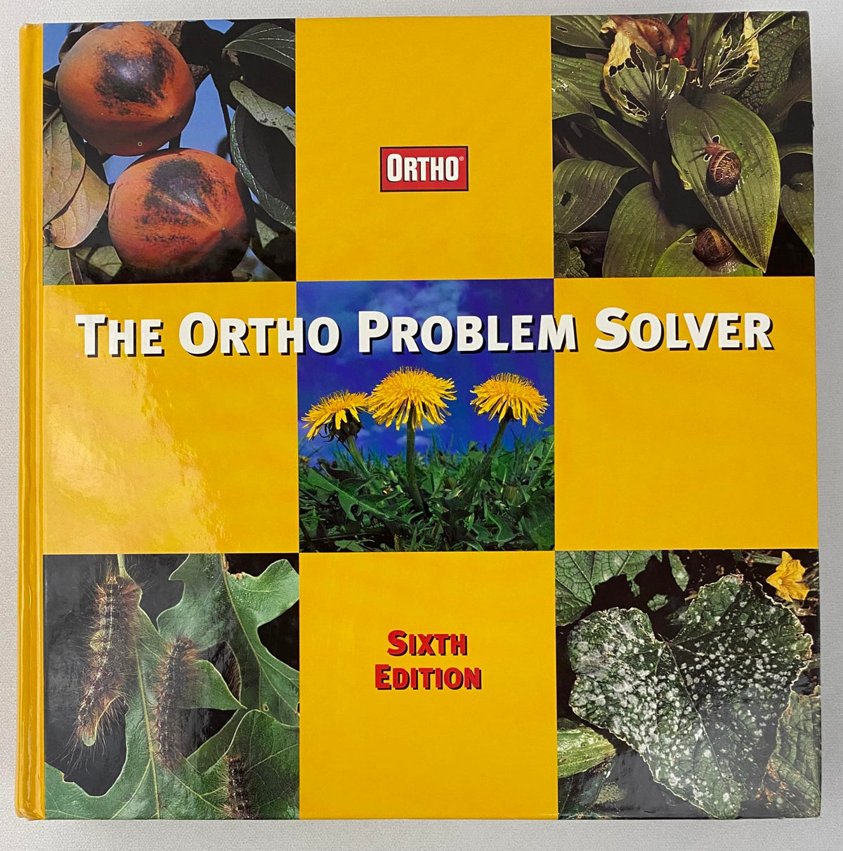 The Ortho Problem Solver