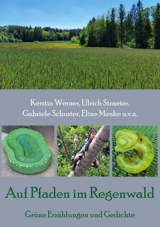 Auf Pfaden im Regenwald: Grüne Erzählungen und Gedichte (German Edition)