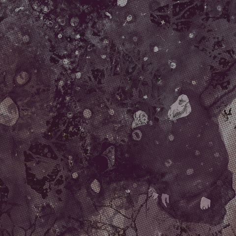 Razed to the Ground (LP)