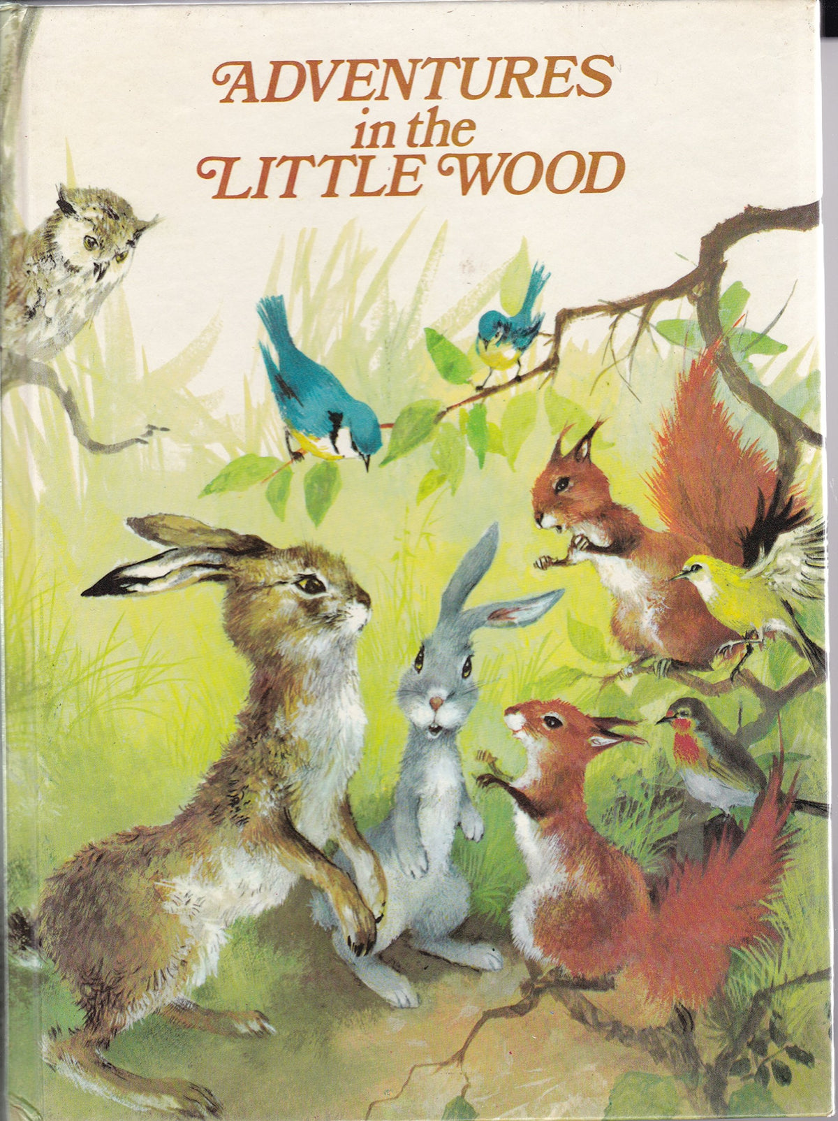 Adventures in the Little Wood (Woodland Animal)