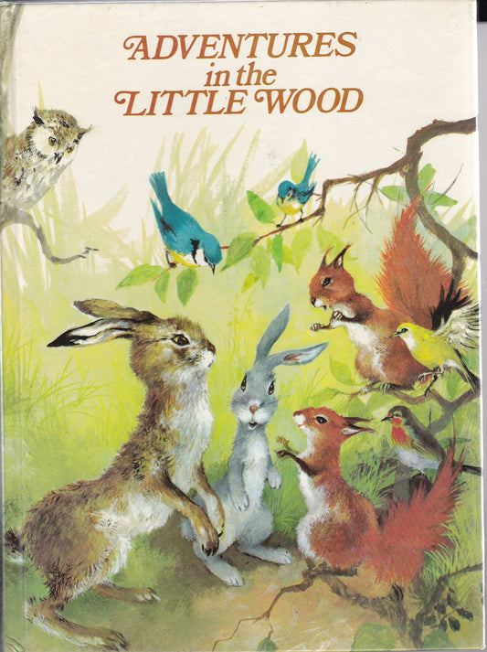 Adventures in the Little Wood (Woodland Animal)