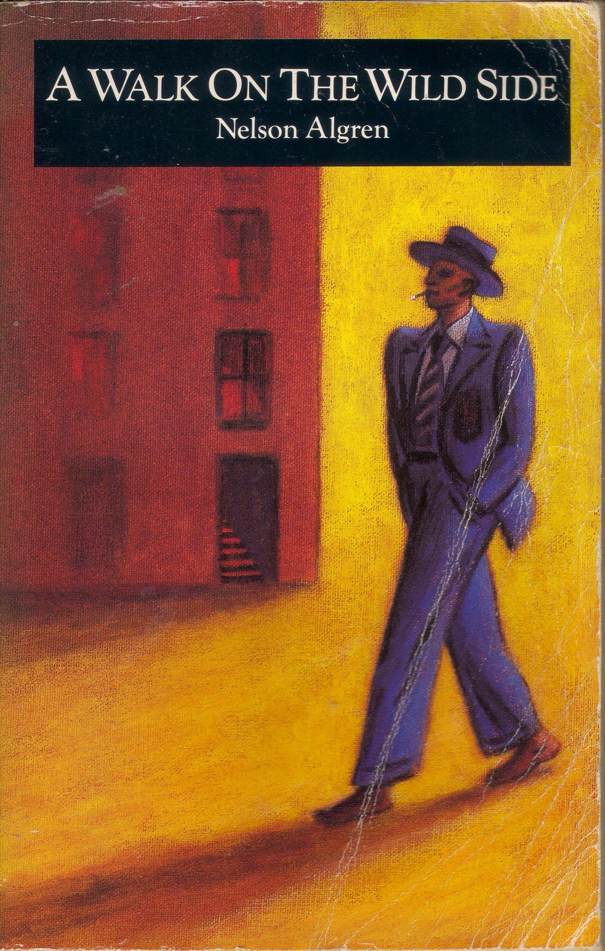 A Walk on the Wild Side (Picador Classics)