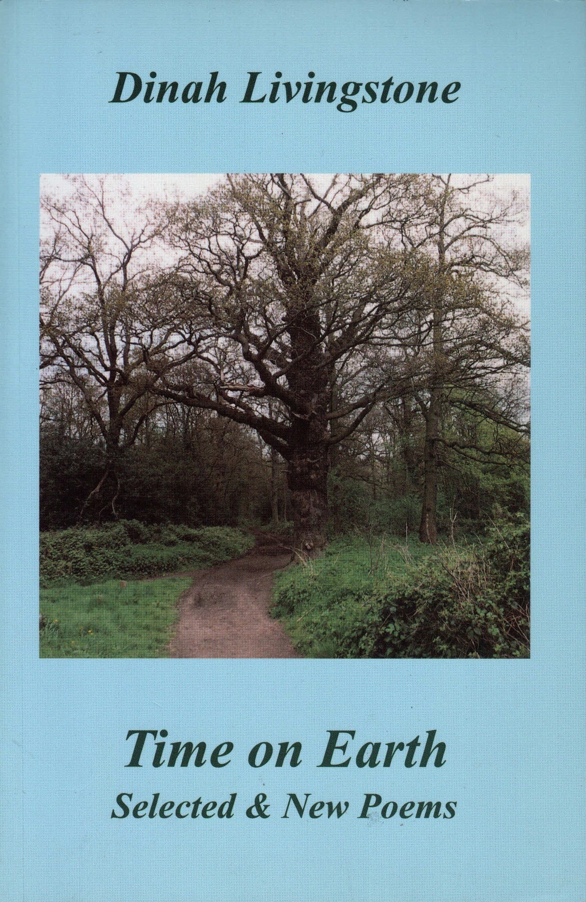 Time on earth: Selected and new poems, 1967-1999