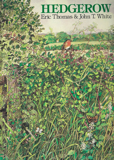 Hedgerow