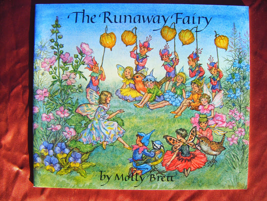 The Runaway Fairy (Medici Books for Children)