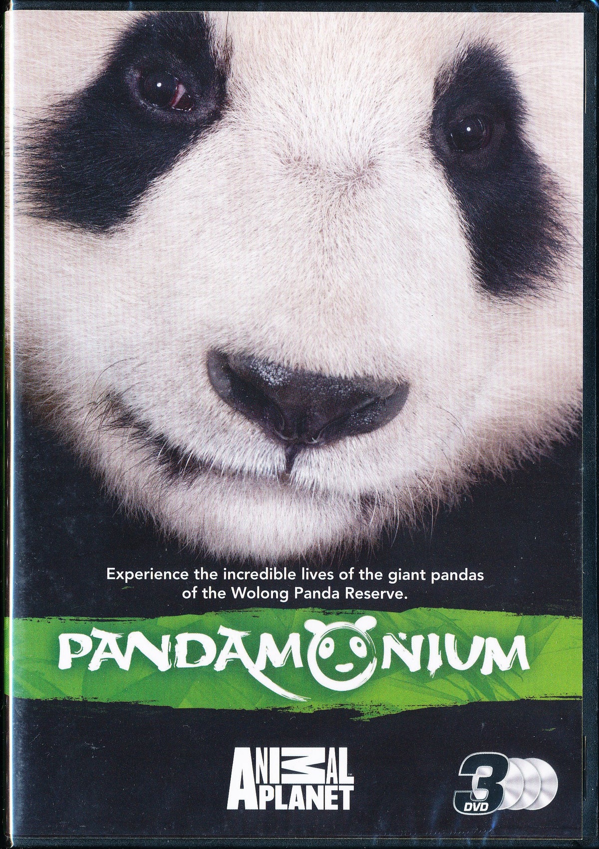 Pandamonium [Import anglais]