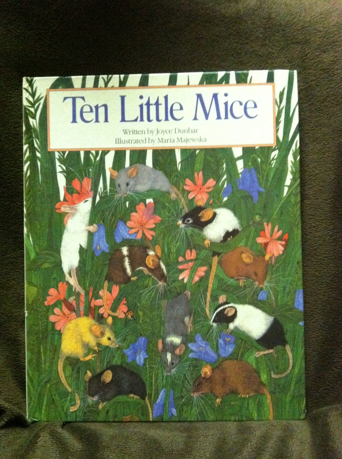 Ten Little Mice