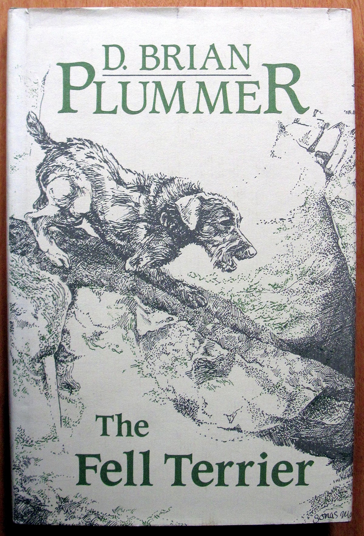 The Fell Terrier